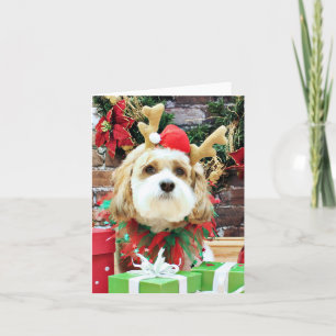 Max jul - Cavachon - Helgkort