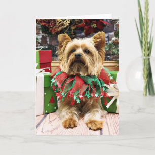 Max jul - Yorkie - Helgkort