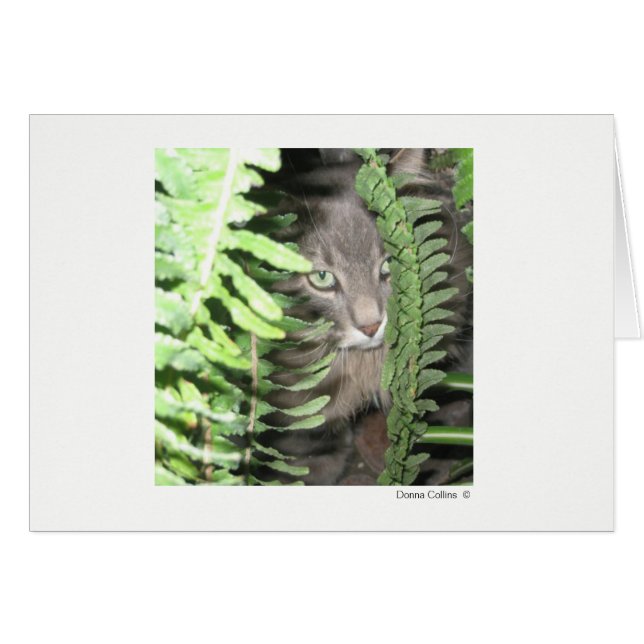 Max. katt 2 OBS kort (Framsidan Horizontal)