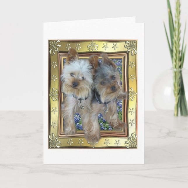 Max och Zach kort (Framsida)