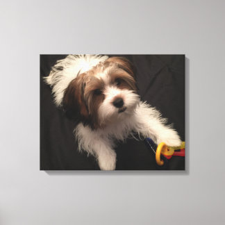 Max Parti Yorkie Canvastryck