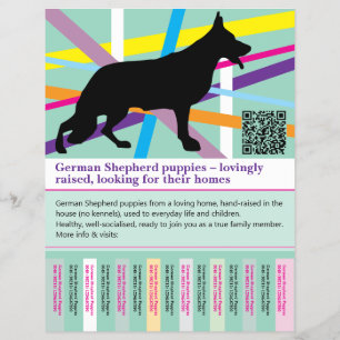 Maximal vallhundshund personlig folder reklamblad