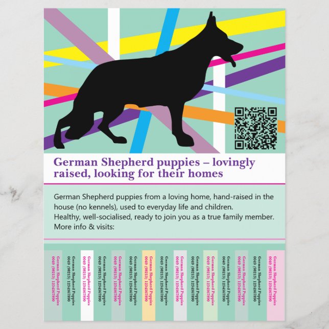 Maximal vallhundshund personlig folder reklamblad (Framsidan)