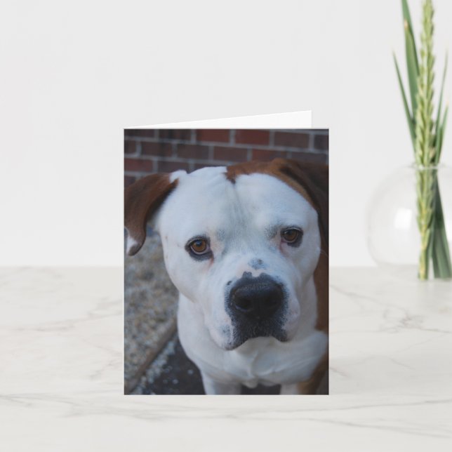 Maximera anteckningskortet kort (Framsida)