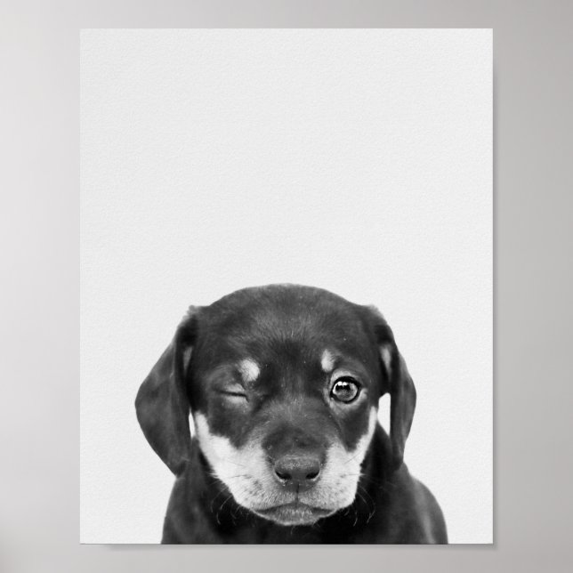 Maximera vinkvalpen poster (Framsidan)