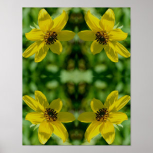 Maximilian Solros Blommigt Abstrakt Poster