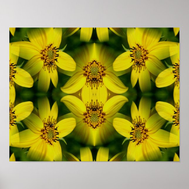 Maximillian Sunflower Abstrakt         Poster (Framsidan)