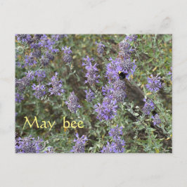 May Bee Vykort