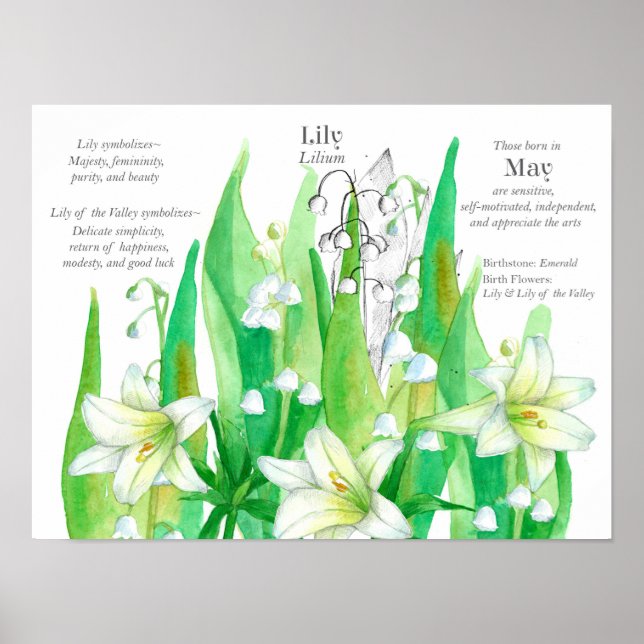 May Birthday Lily of the Valley Language of Flower Poster (Framsidan)