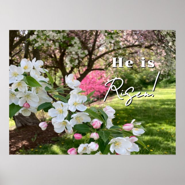 May Flowers Pink Easter Poster (Framsidan)