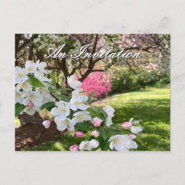May Flowers Pink Invitation Postcard Vykort