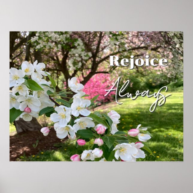 May Flowers Pink Rejoice Always Poster (Framsidan)