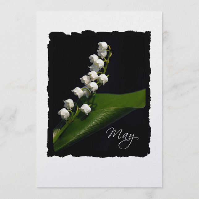 May: Lily of the Valley (Framsida)