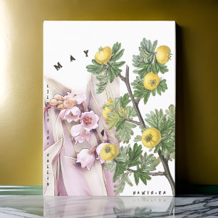 May Month Flowers Lily, Valley Hawthorn Vykort