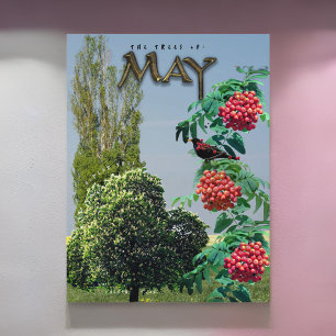 May Month Träd Chestnut Rowan Ash, Poplar Vykort