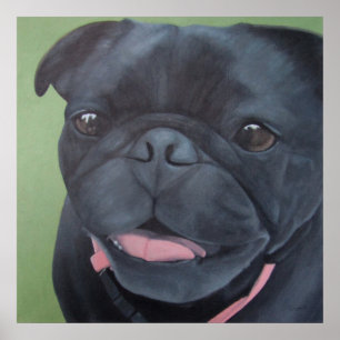 Maya Black Pug Hund Poster
