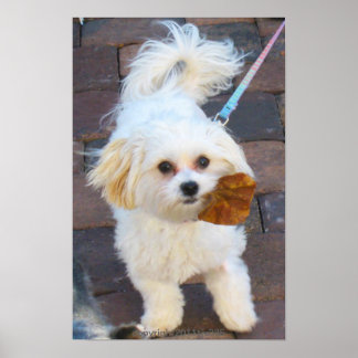 Maya med Löv Print Poster