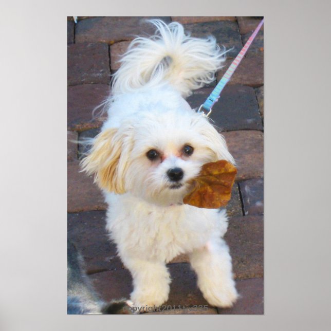 Maya med Löv Print Poster (Framsidan)