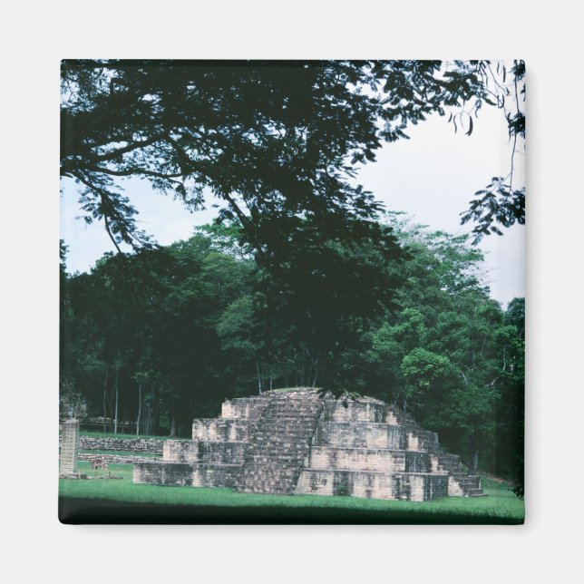 Mayan Culture Färg Photo Designad Refrigerator Magnet (Framsidan)