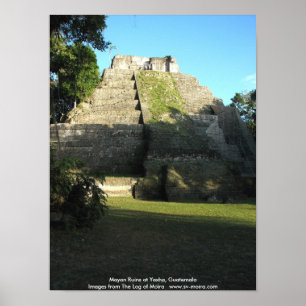 Mayan fördärvar på Yaxha, Guatemala Poster