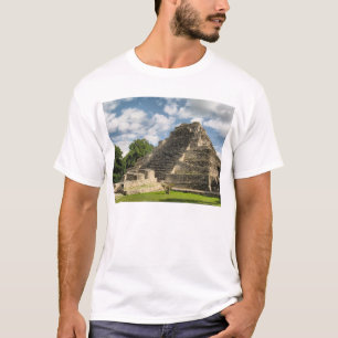 Mayan pyramid t-shirt