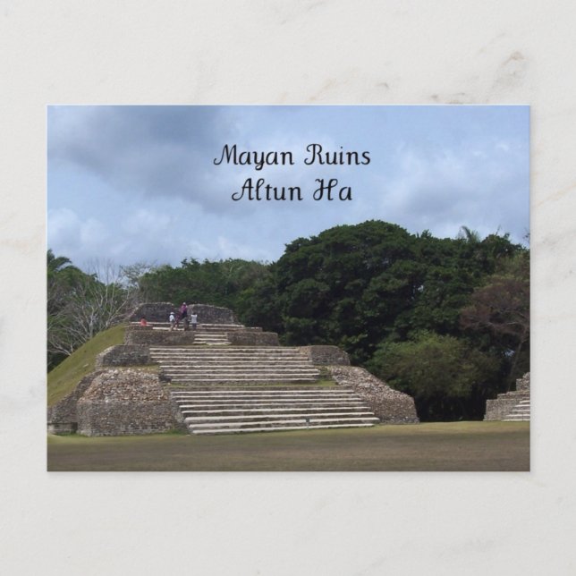 Mayan Ruins, Altun Ha Vykort (Framsida)