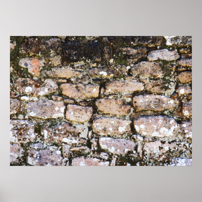 Mayan Ruins Wall  Poster (Framsidan)