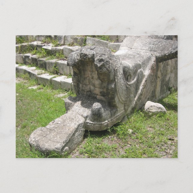 Mayan Snake Vykort (Framsida)