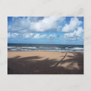 Mayaro Beach Shadows of Coconut Träd Postcard Vykort