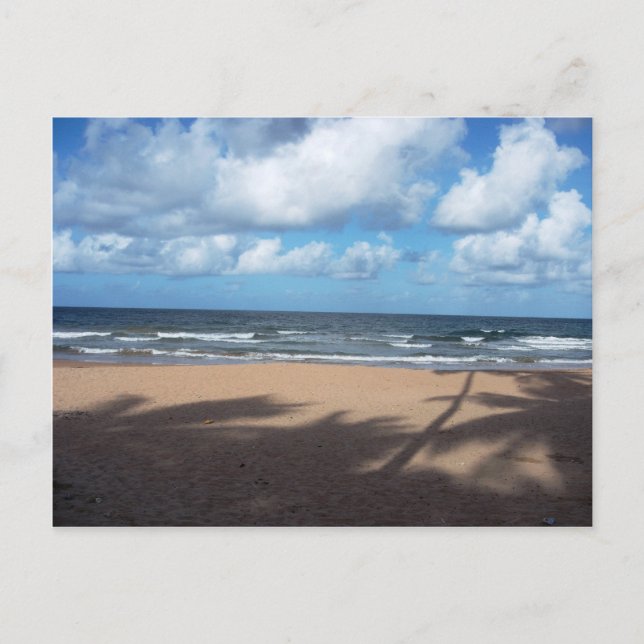 Mayaro Beach Shadows of Coconut Träd Postcard Vykort (Framsida)