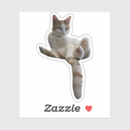 Maybe You Should Cover That Up? Cat Klistermärken