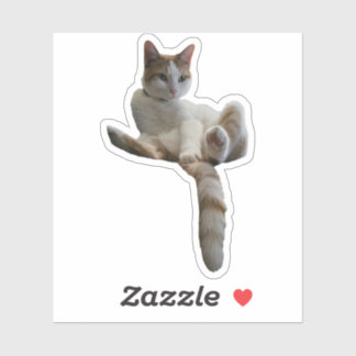 Maybe You Should Cover That Up? Cat Klistermärken