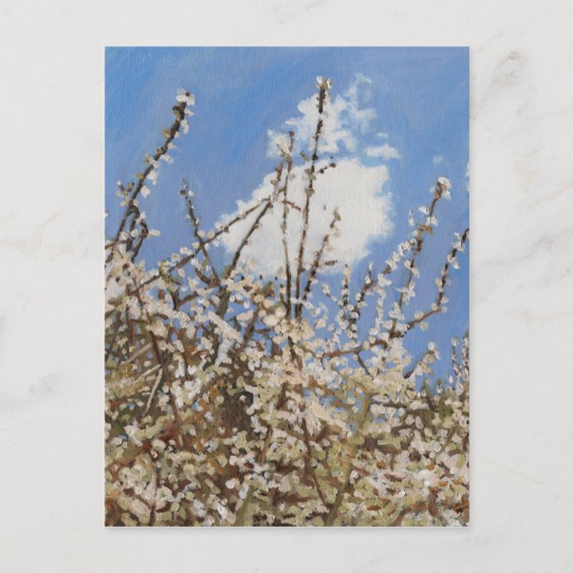 Mayblomma 2012 vykort (Framsida)