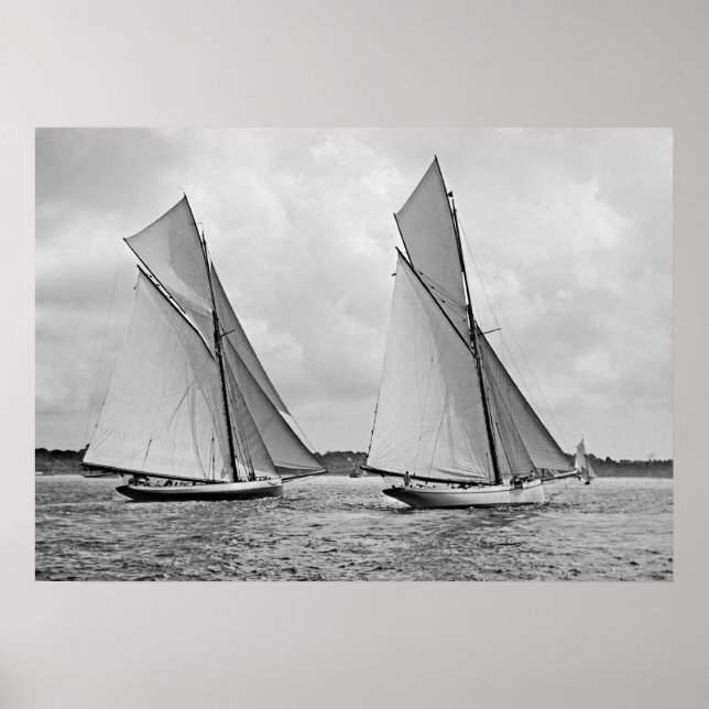 Mayblomma och Galatea Start America's Kopp 1886 Poster (Framsidan)