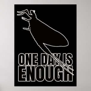 Mayblommor One Day Flies - Entomology Geek Poster