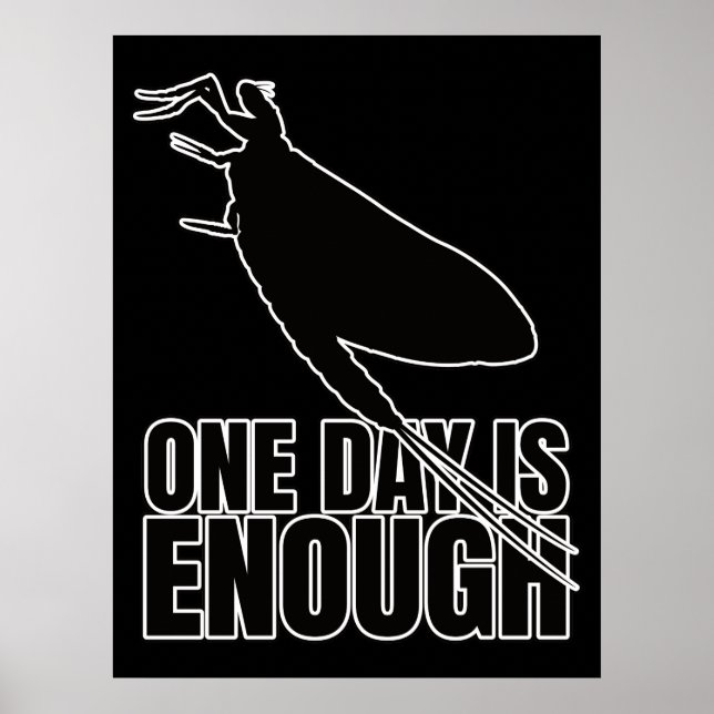 Mayblommor One Day Flies - Entomology Geek Poster (Framsidan)