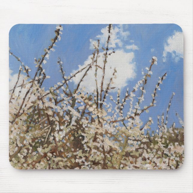 Mayflower 2012 musmatta (Framsidan)