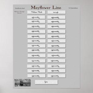 Mayflower fodrar - William vit Poster