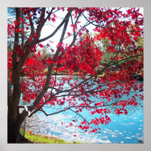 Maymont Gardens Red Maple Träd Virginia Poster Art