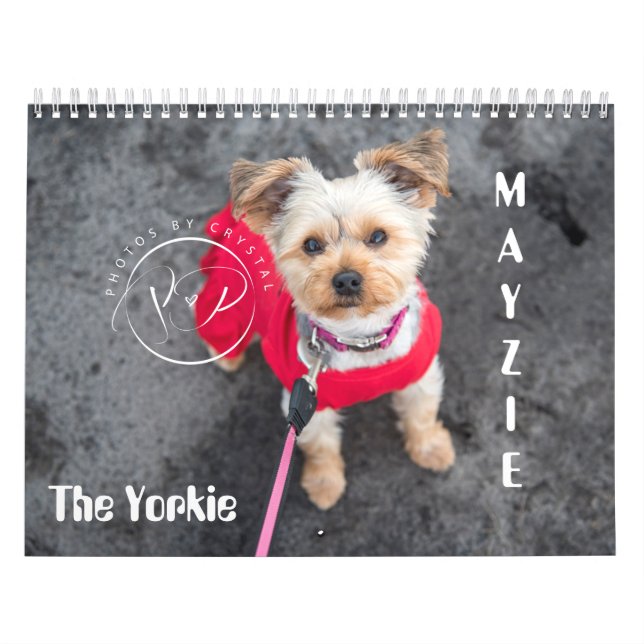 Mayzie Calendar (2021 Stil) Kalender (Omslag)