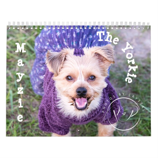 Mayzie Calendar II (2022 Stil) Kalender (Omslag)