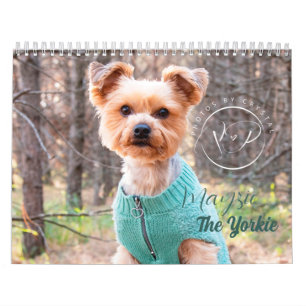 Mayzie Calendar III (2023 Stil) Kalender