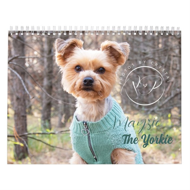 Mayzie Calendar III (2023 Stil) Kalender (Omslag)