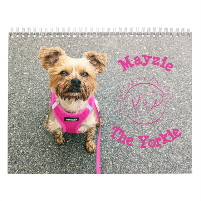 Mayzie Calendar IV (2024 Stil) Kalender (Omslag)