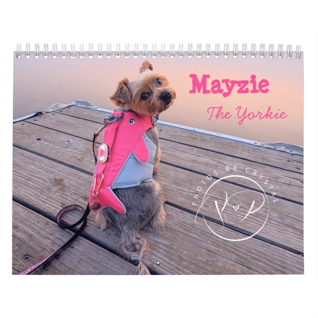 Mayzie Calendar V (2024 Stil) Kalender (Omslag)