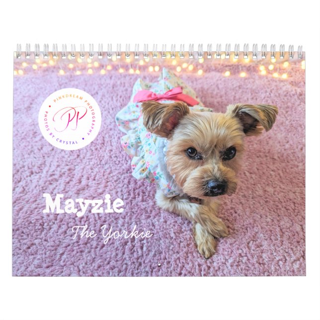 Mayzie Calendar VI (2025 Stil) Kalender (Omslag)