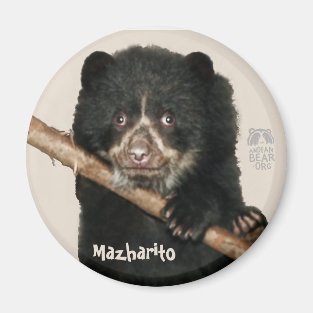 Mazharito Magnet (Framsidan)