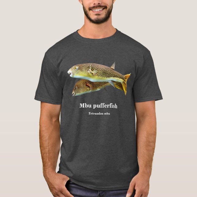 Mbu pufferfish , Tetraodon mbu Tröja (Framsida)
