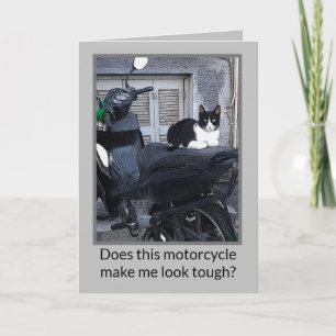 MC-KATT / HUMOR ANTECKNINGSKORT