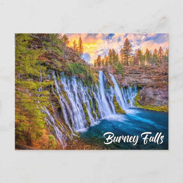 McArthur-Burney Falls Memorial State Park Vykort (Framsida)